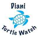 diani-turtle-watch-logo